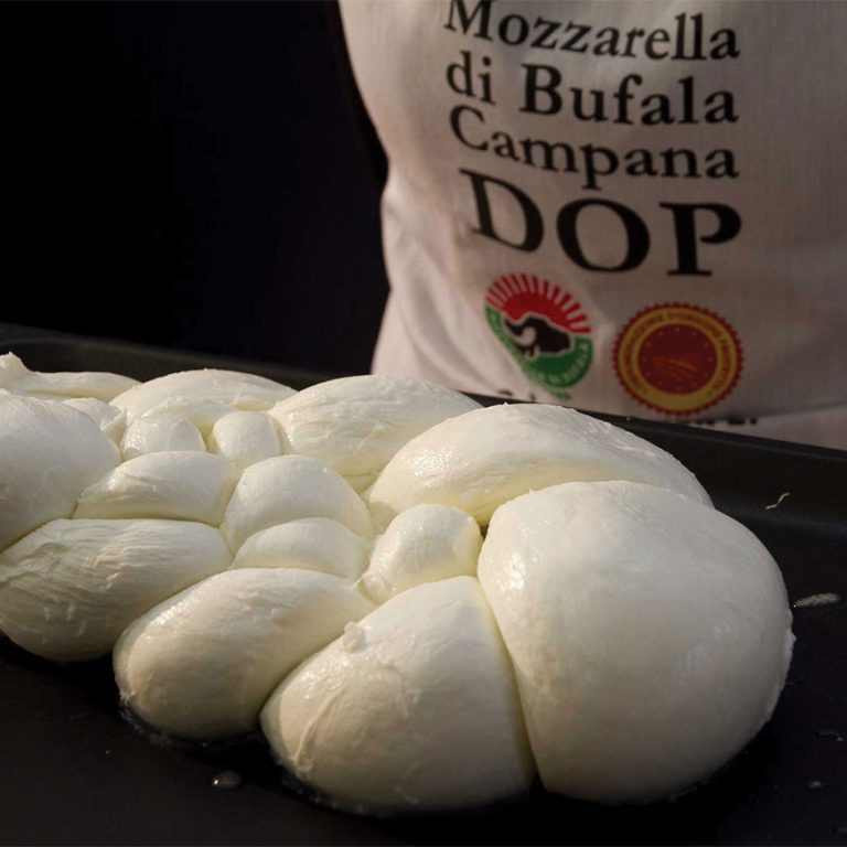 treccia di mozzarella