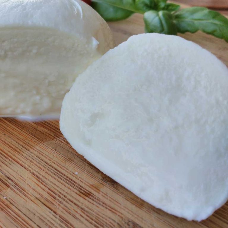 si-può-congelare-la-mozzarella