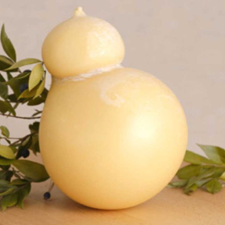 caciocavallo-silano